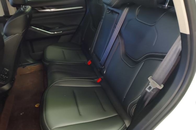 Used Haval H6 2024 1.5T Two-Wheel-Drive Classic Edition Left Rear Seat