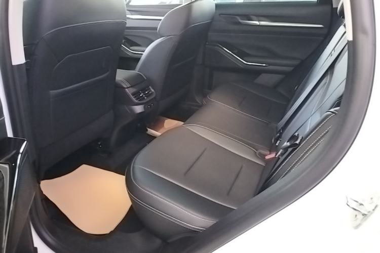 Used Haval H6 2024 1.5T Two-Wheel-Drive Classic Edition Left Rear Seat