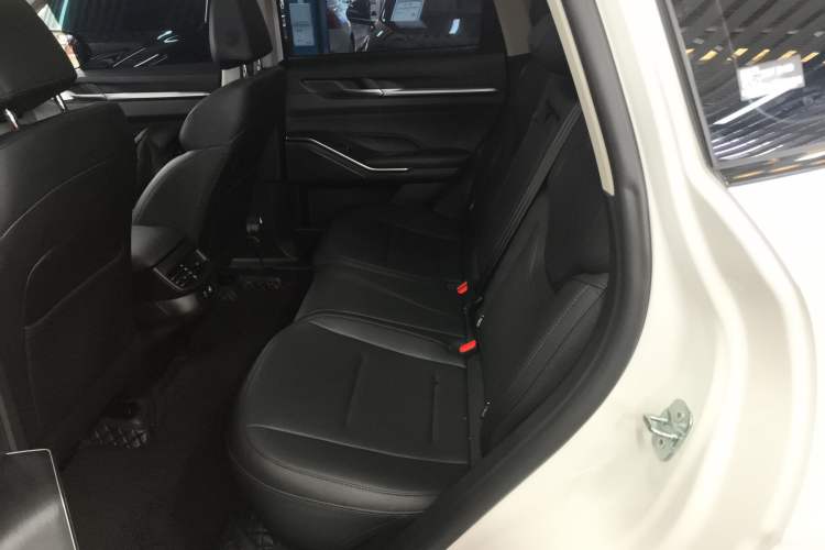 Used Haval H6 2024 1.5T Two-Wheel Drive Max Left Rear Seat
