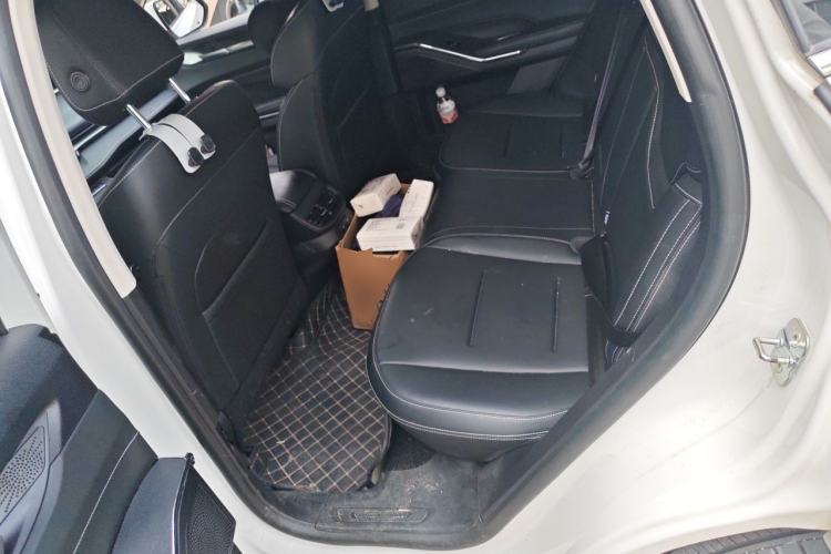 Used Haval H6 2024 1.5T Two-Wheel-Drive Classic Edition Left Rear Seat