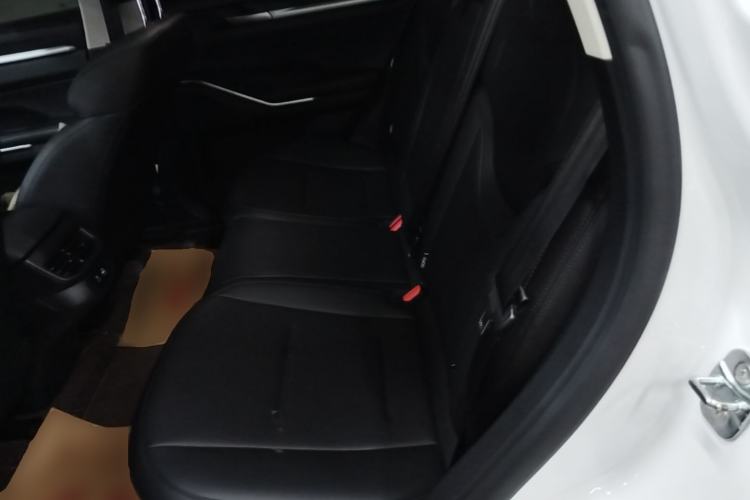 Used Haval H6 2024 1.5T Two-Wheel Drive Max Left Rear Seat
