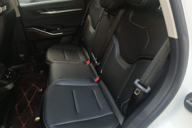 Used Haval H6 2024 1.5T Two-Wheel-Drive Classic Edition Left Rear Seat