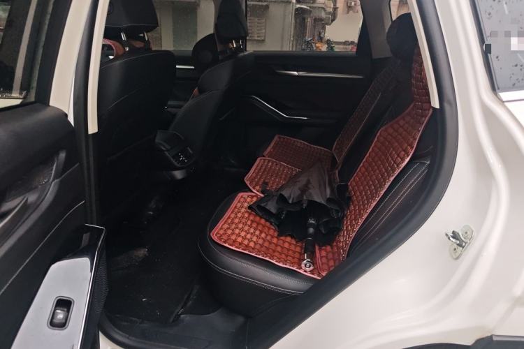 Used Haval H6 2024 1.5T Two-Wheel-Drive Classic Edition Left Rear Seat