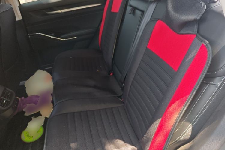 Used Haval H6 2024 1.5T Two-Wheel-Drive Classic Edition Left Rear Seat