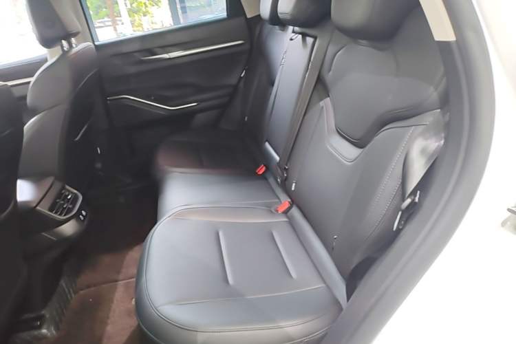 Used Haval H6 2024 1.5T Two-Wheel Drive Max Left Rear Seat