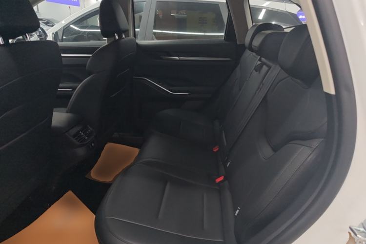 Used Haval H6 2024 1.5T Two-Wheel Drive Max Left Rear Seat