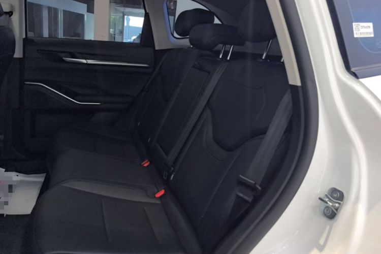 Used Haval H6 2024 2.0T All-Wheel Drive Max Left Rear Seat