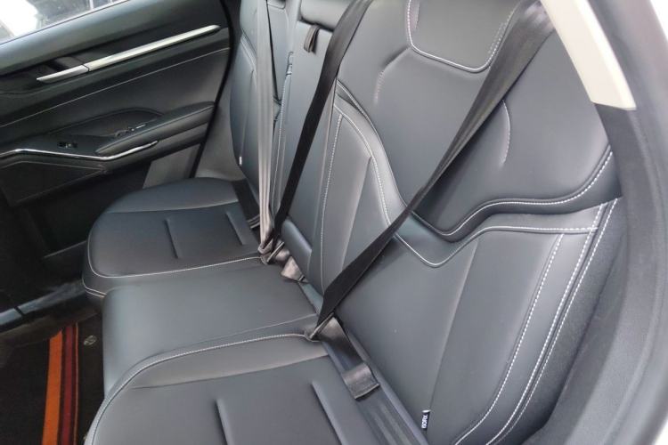 Used Haval H6 2024 1.5T Two-Wheel-Drive Classic Edition Left Rear Seat