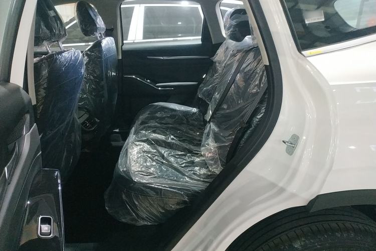 Used Haval H6 2024 1.5T Two-Wheel-Drive Classic Edition Left Rear Seat