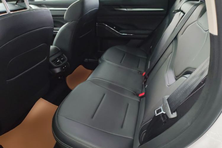 Used Haval H6 2024 1.5T Two-Wheel-Drive Classic Edition Left Rear Seat