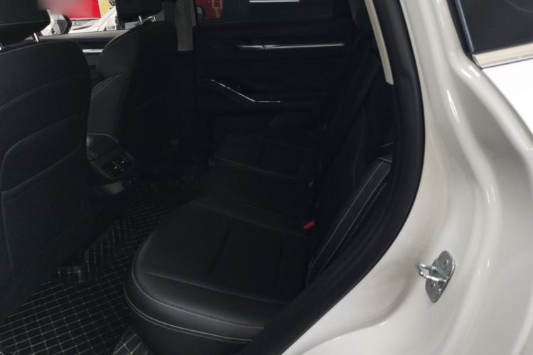 Used Haval H6 2024 1.5T Two-Wheel-Drive Classic Edition Left Rear Seat