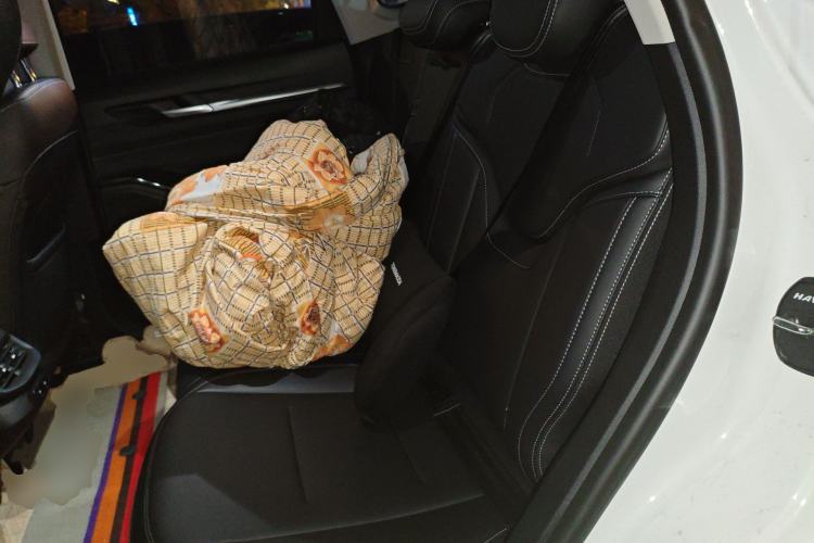 Used Haval H6 2024 1.5T Two-Wheel-Drive Classic Edition Left Rear Seat