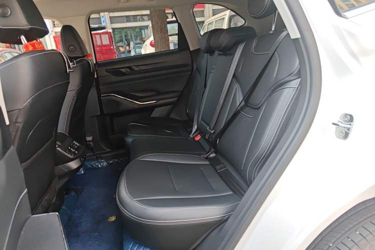 Used Haval H6 2024 1.5T Two-Wheel-Drive Classic Edition Left Rear Seat