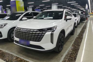 Used Haval H6 2024 1.5T Two-Wheel Drive Max