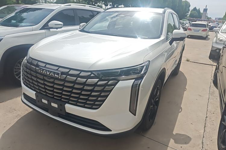 Haval H6 2024 2.0T Two-Wheel Drive Max