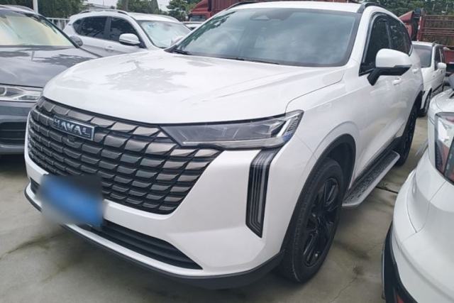 Used Haval H6 2024 1.5T Two-Wheel Drive Max