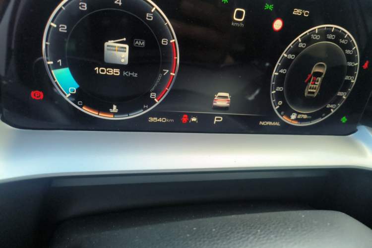 Used Haval H6 2024 1.5T Two-Wheel-Drive Classic Edition Odometer Close Up
