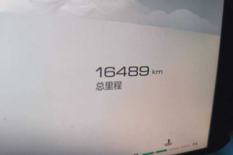 Used Haval H6 2024 1.5T Two-Wheel Drive Max Odometer Close Up