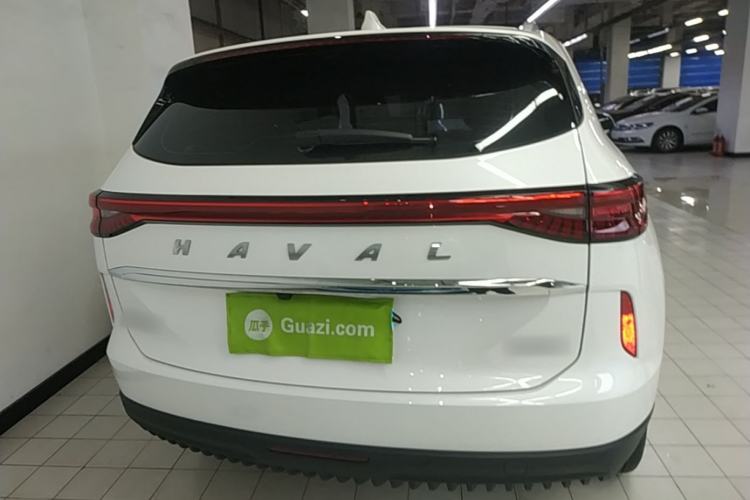 Used Haval H6 2024 1.5T Two-Wheel-Drive Classic Edition Rear