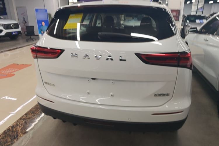 Used Haval H6 2024 1.5T Two-Wheel Drive Max Rear
