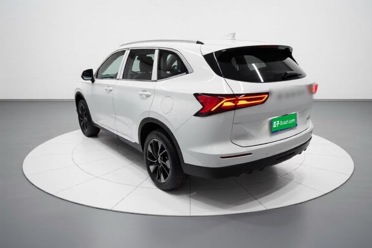 Used Haval H6 2024 1.5T Two-Wheel Drive Max Rear Left 45 Deg