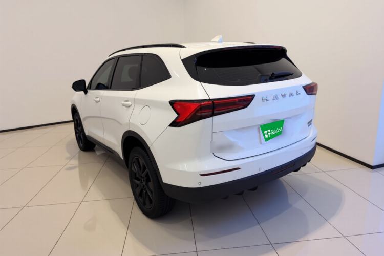 Used Haval H6 2024 2.0T All-Wheel Drive Max Rear Left 45 Deg