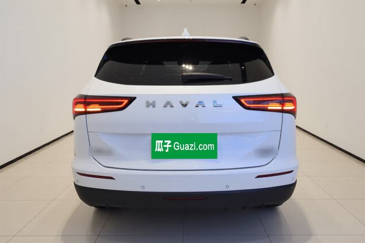 Used Haval H6 2024 2.0T All-Wheel Drive Max Rear