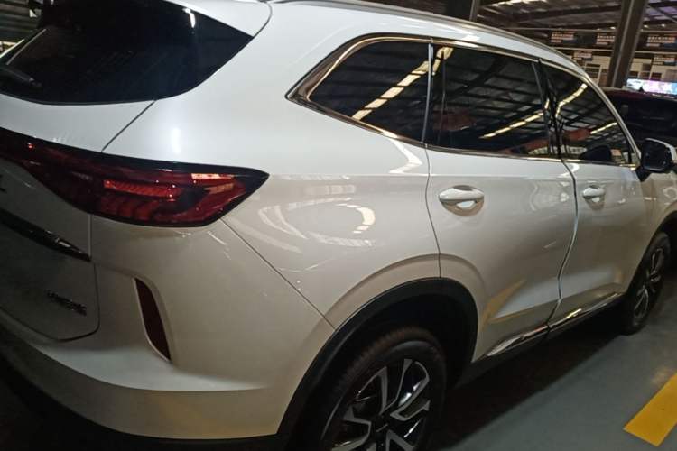 Used Haval H6 2024 1.5T Two-Wheel-Drive Classic Edition Rear Right 45 Deg