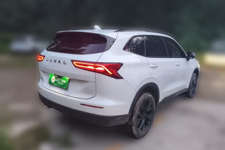 Used Haval H6 2024 1.5T Two-Wheel Drive Max Rear Right 45 Deg