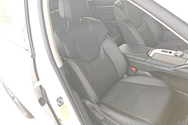 Used Haval H6 2024 1.5T Two-Wheel-Drive Classic Edition Right Front Seat