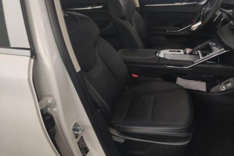 Used Haval H6 2024 1.5T Two-Wheel-Drive Classic Edition Right Front Seat