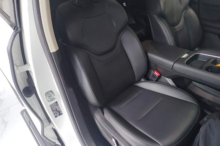 Used Haval H6 2024 1.5T Two-Wheel Drive Max Right Front Seat
