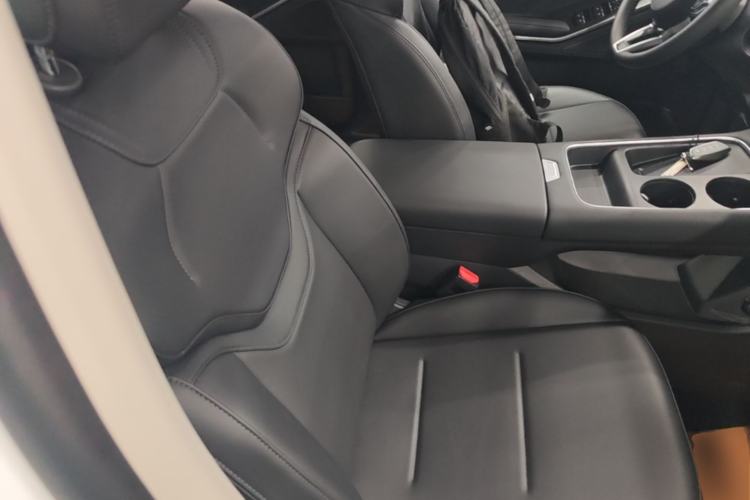 Used Haval H6 2024 1.5T Two-Wheel Drive Max Right Front Seat