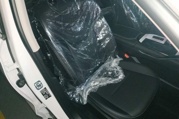 Used Haval H6 2024 1.5T Two-Wheel-Drive Classic Edition Right Front Seat