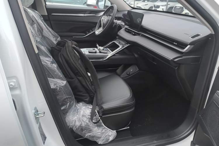 Used Haval H6 2024 1.5T Two-Wheel-Drive Classic Edition Right Front Seat