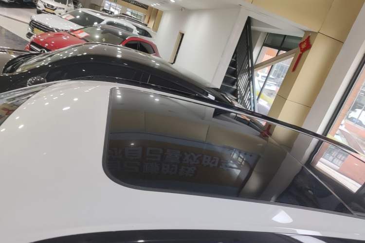 Used Haval H6 2024 2.0T Two-Wheel Drive Max Roof