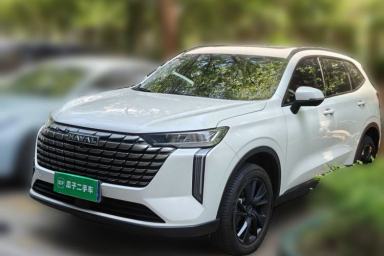 Used Haval H6 2024 1.5T Two-Wheel Drive Max