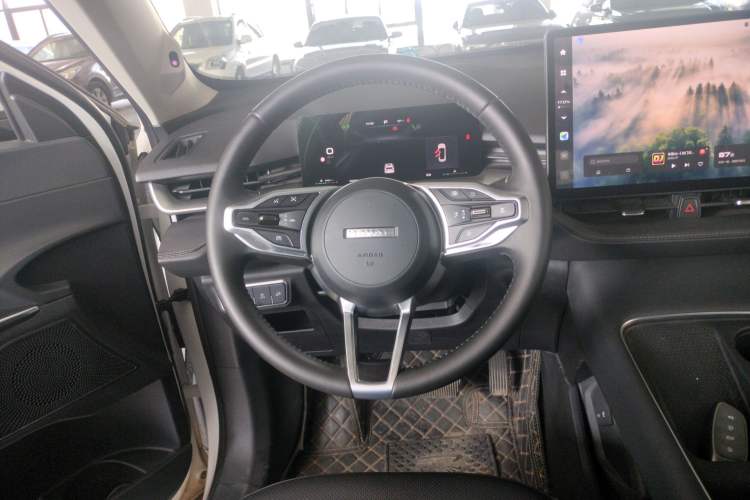 Used Haval H6 2024 1.5T Two-Wheel Drive Ultra Steering Wheel