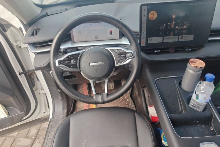 Used Haval H6 2024 2.0T Two-Wheel Drive Max Steering Wheel