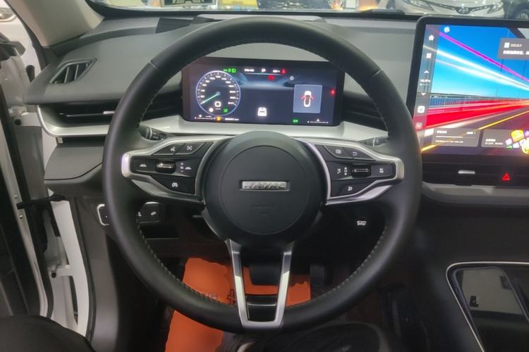 Used Haval H6 2024 2.0T Two-Wheel Drive Max Steering Wheel