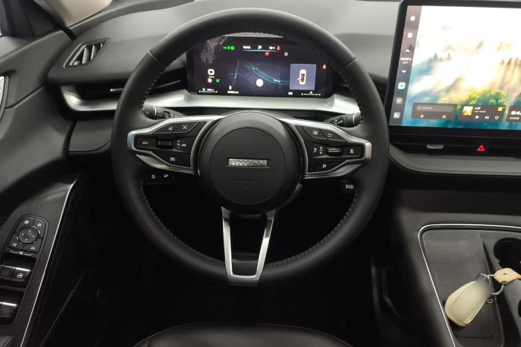 Used Haval H6 2024 1.5T Two-Wheel Drive Max Steering Wheel