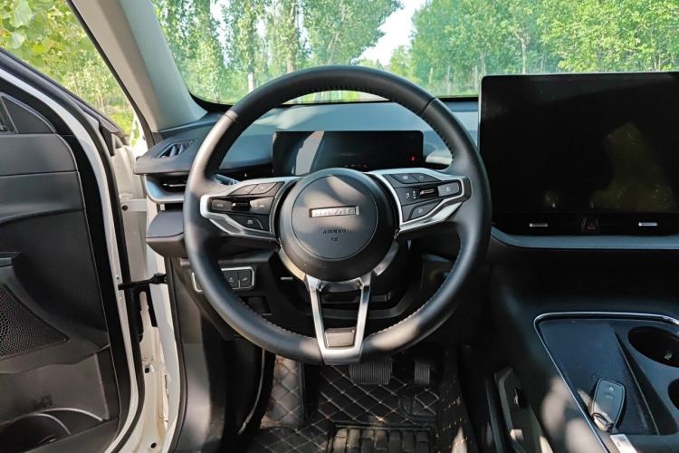 Used Haval H6 2024 1.5T Two-Wheel Drive Max Steering Wheel