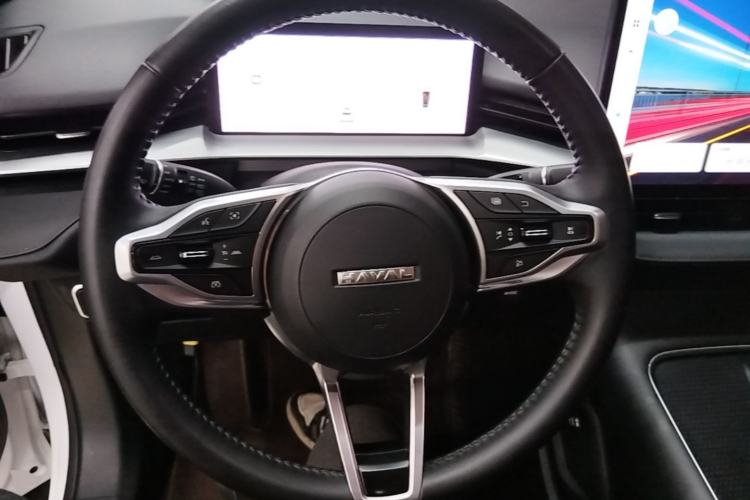 Used Haval H6 2024 1.5T Two-Wheel Drive Max Steering Wheel