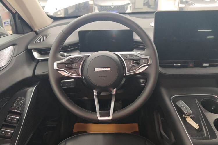 Used Haval H6 2024 1.5T Two-Wheel Drive Max Steering Wheel