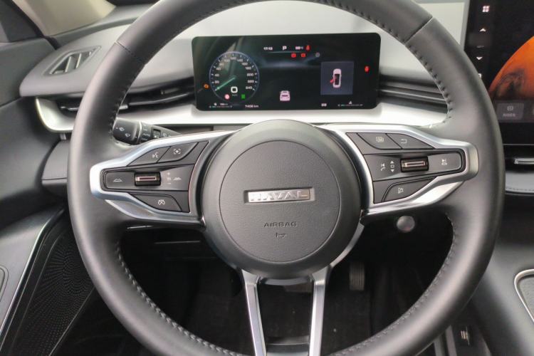 Used Haval H6 2024 1.5T Two-Wheel Drive Max Steering Wheel