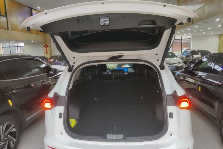 Used Haval H6 2024 2.0T Two-Wheel Drive Max Trunk