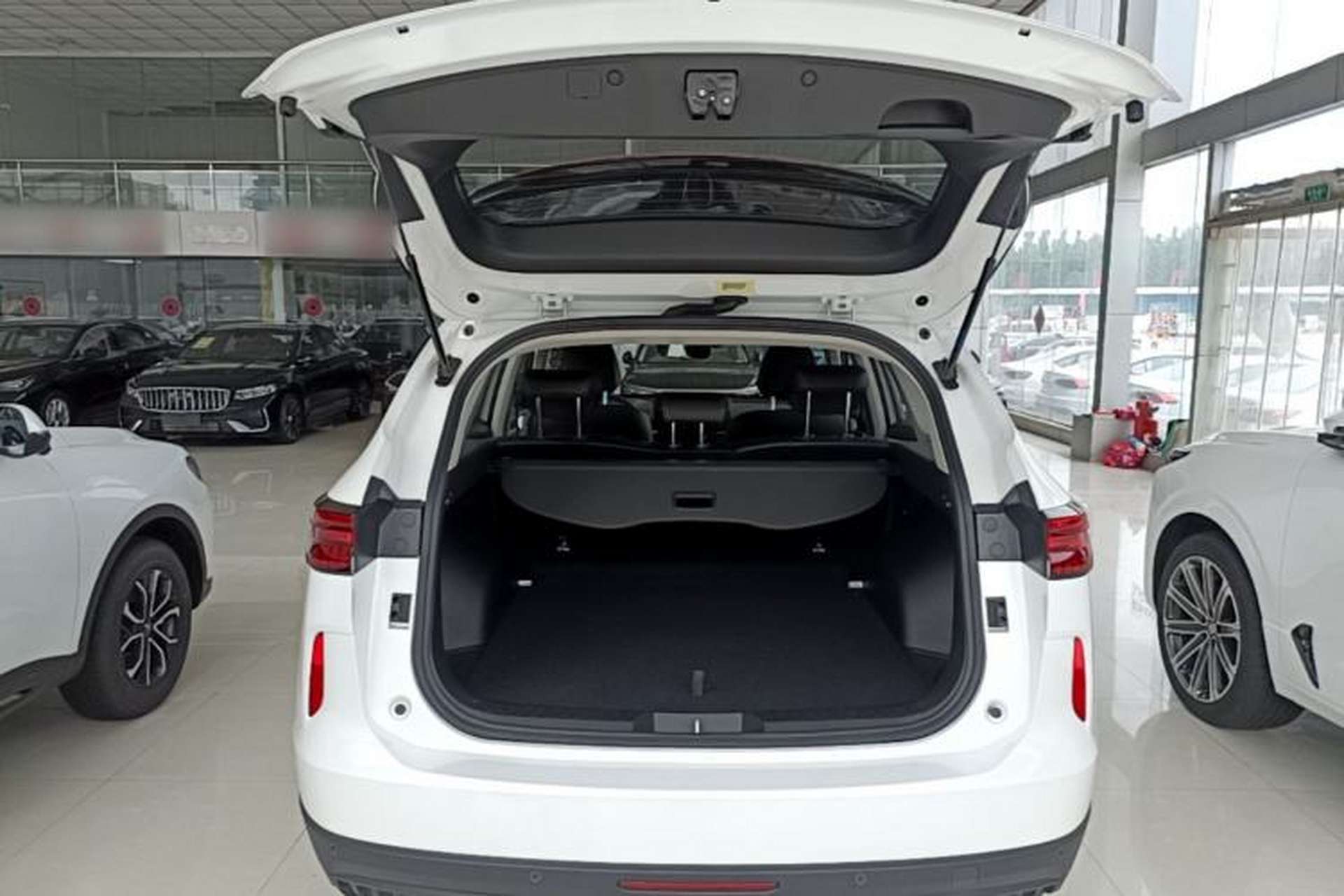 Used Haval H6 2024 1.5T Two-Wheel-Drive Classic Edition Trunk