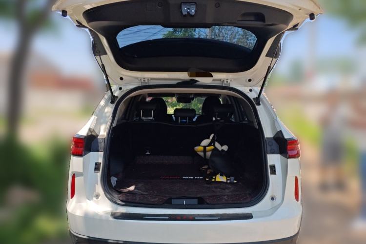 Used Haval H6 2024 1.5T Two-Wheel-Drive Classic Edition Trunk