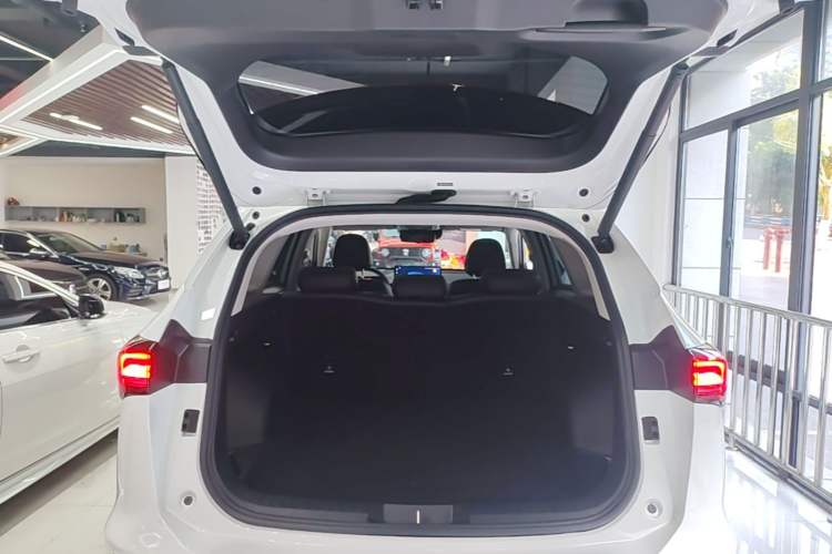 Used Haval H6 2024 1.5T Two-Wheel Drive Max Trunk