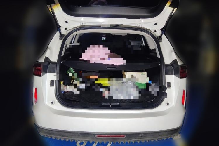 Used Haval H6 2024 1.5T Two-Wheel-Drive Classic Edition Trunk